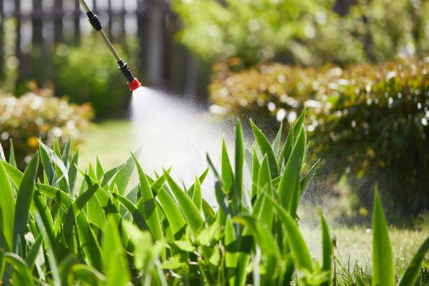 Tamper-Resistant Bait Stations for Rodents in Avon Park