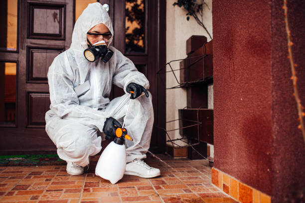 Attic and Crawl Space Rodent Treatment in Avon Park